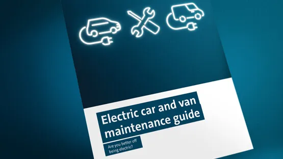 Evolve campaign materials