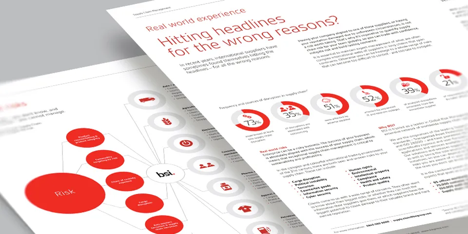 BSI Supply Chain Risk campaign